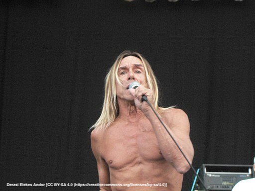 Iggy_and_the_Stooges_-_Sziget_Fesztivál,_2006.08.15_(5)